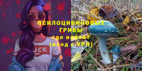 не бодяженный Пересвет