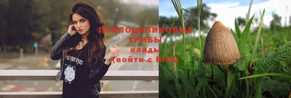 spice Алзамай