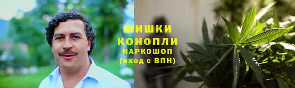 spice Алзамай